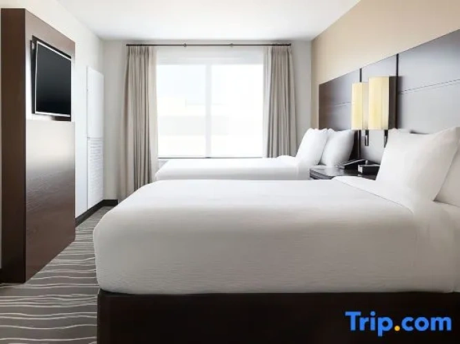 1 Bedroom Quadruple Suite