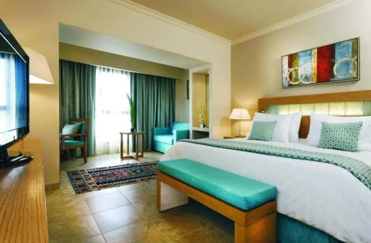 Deluxe Double room Mountain View