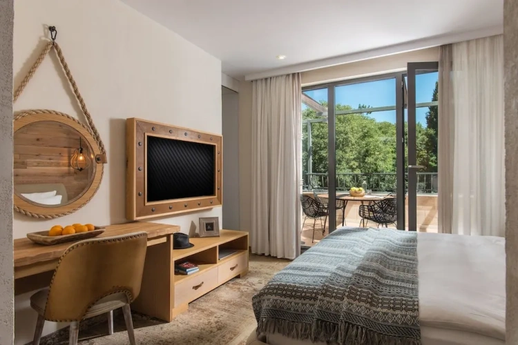 Standard Apartment with balcony and with garden view