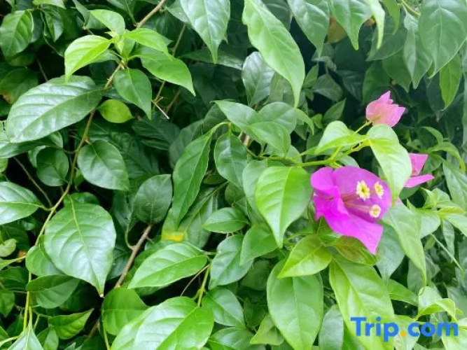 Xining Yunhui Homestay