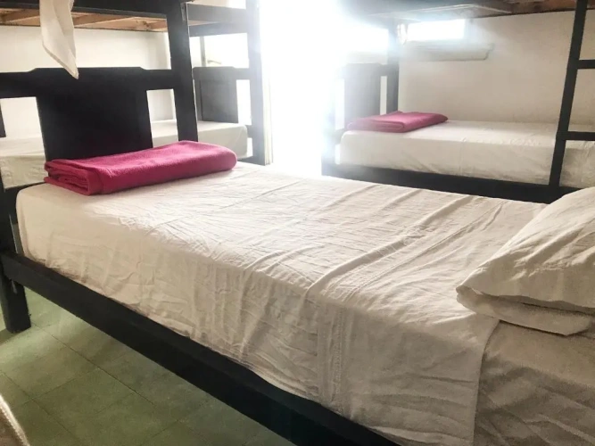Bed in Dorm