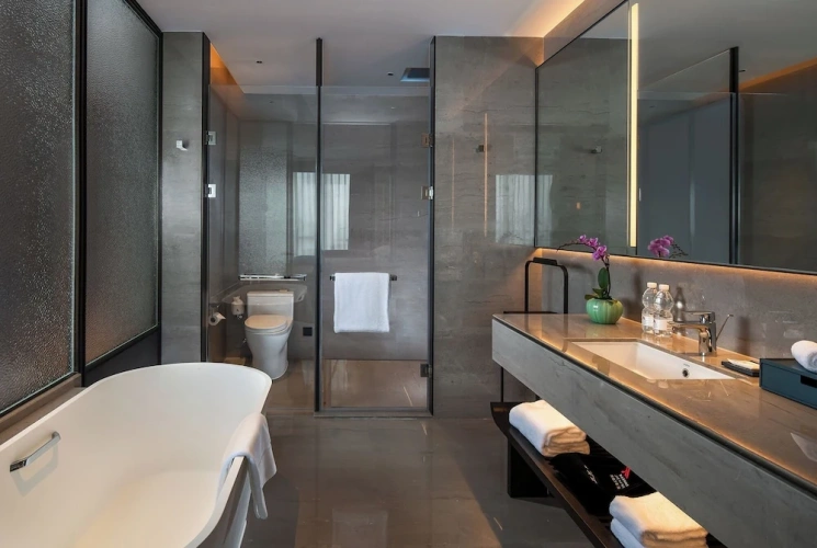 Deluxe Double room with city view