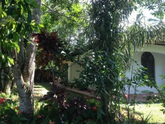 Summer Guesthouse
