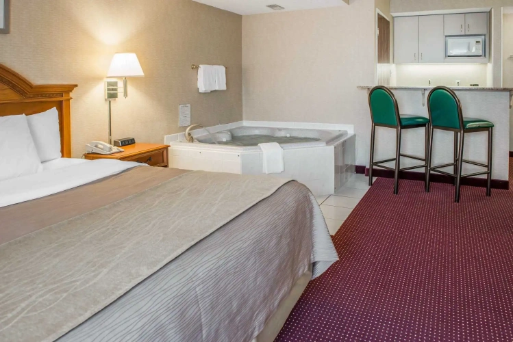 1 Bedroom Suite