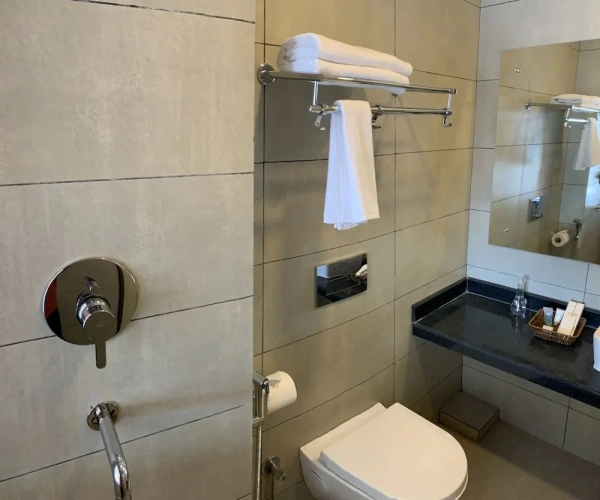 Deluxe Double room with balcony