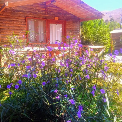 Pitosbungalows