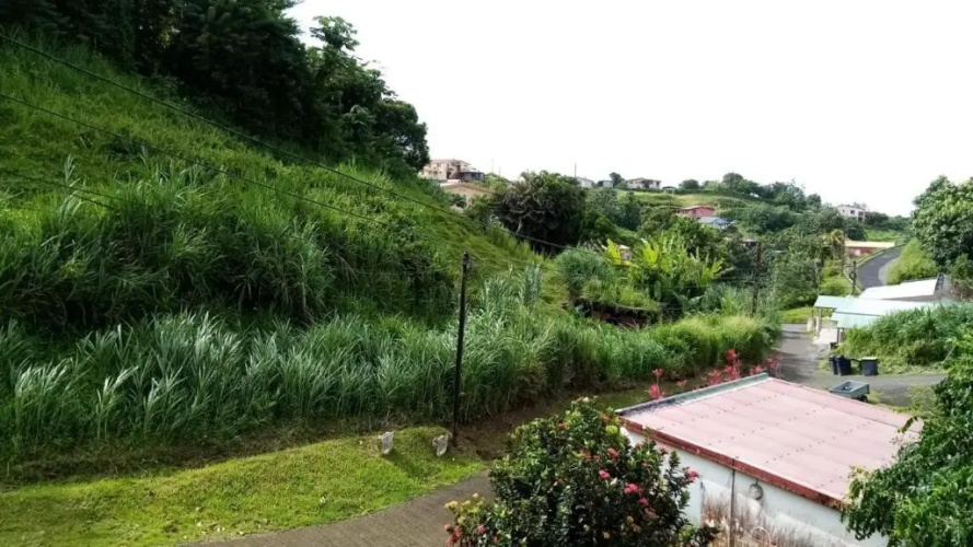 Villa Rosa