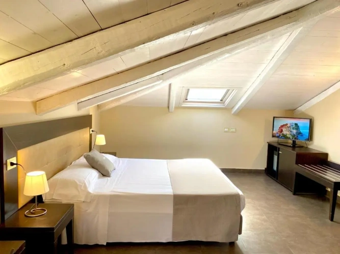 Attic Junior Suite