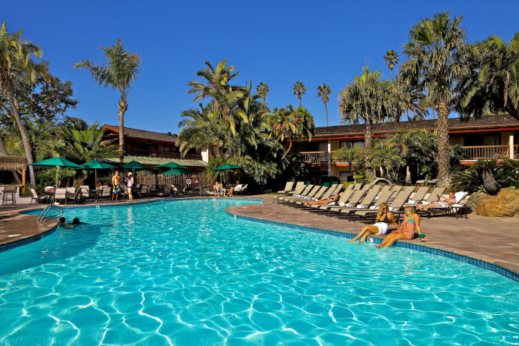 Catamaran Resort Hotel & Spa photo 16