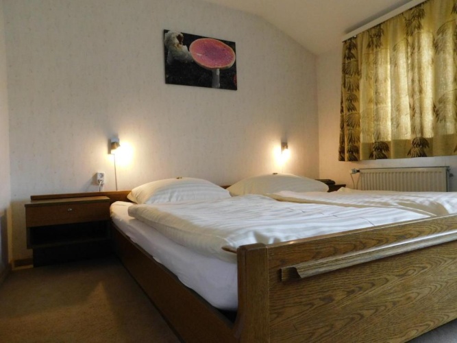 Standard Double room with view