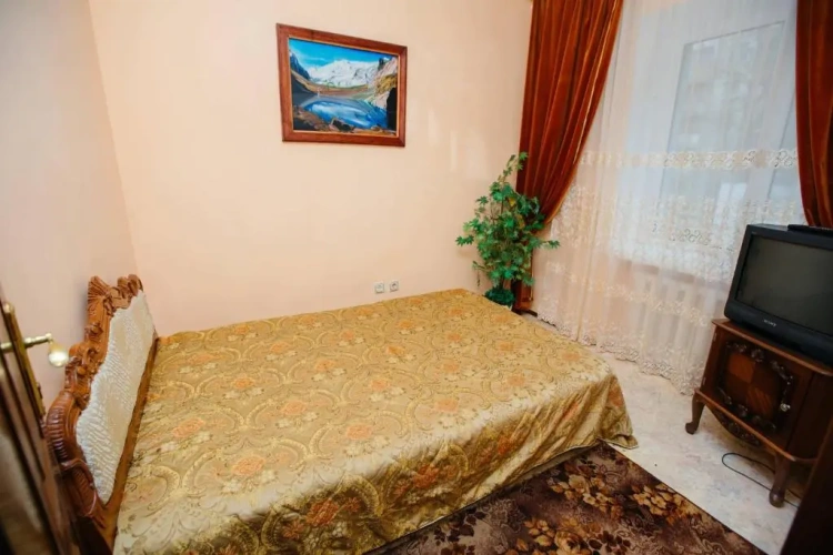 1 Bedroom Economy Apartment with view