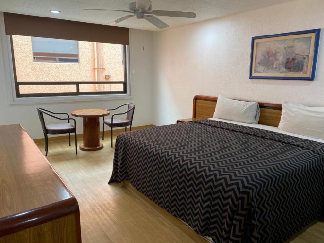 Pet Friendly Quadruple Suite