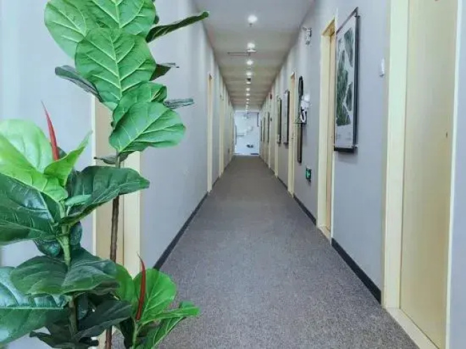 Fengle Hostel