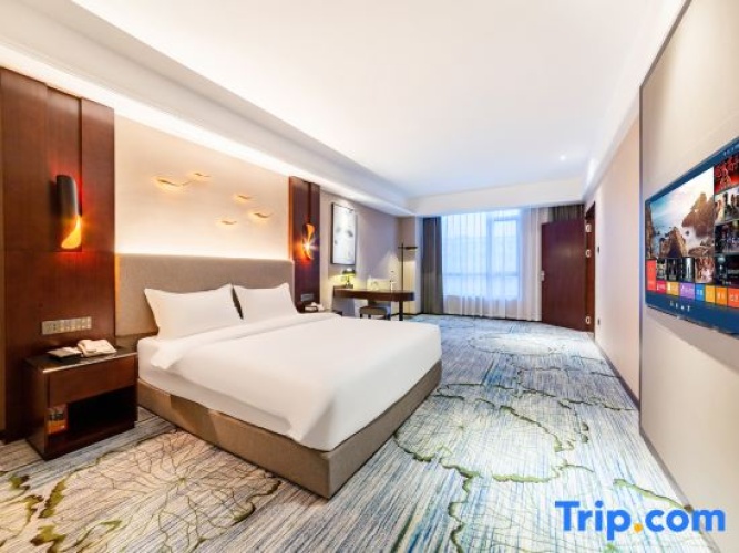 Triple Family Suite