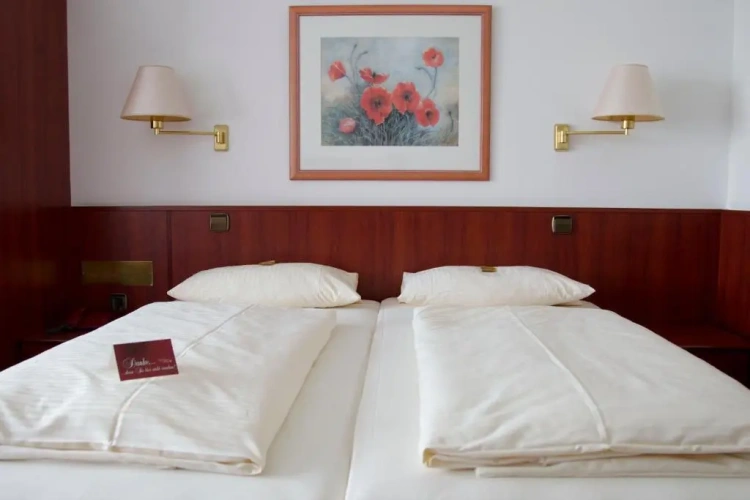 Standard Double room with lake view