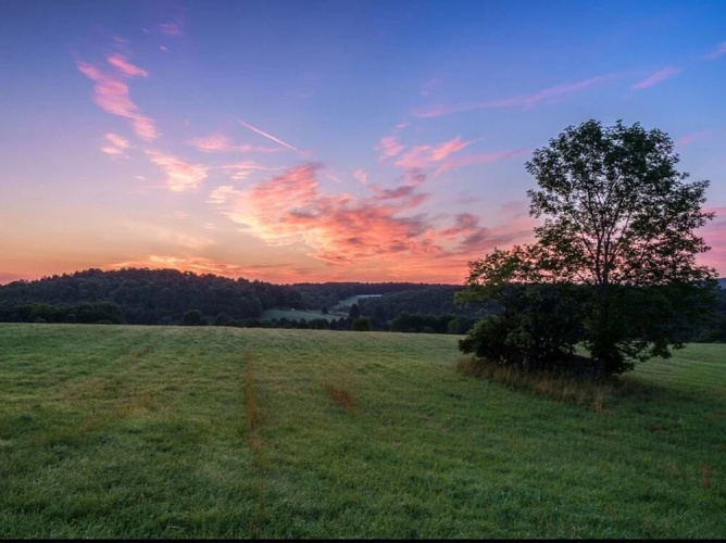 Tentrr - Orchardside Farm