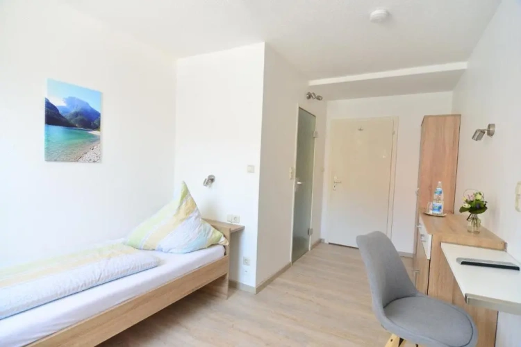 Standard Double room with balcony and with view