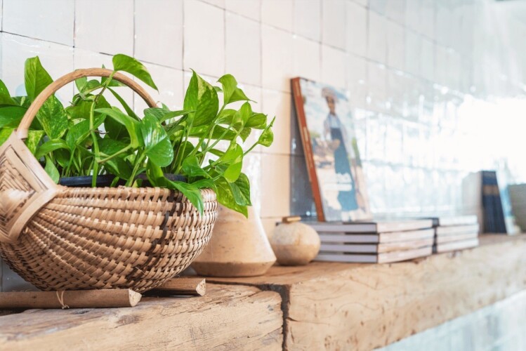 Hotel Ponta Verde MaceioOver view