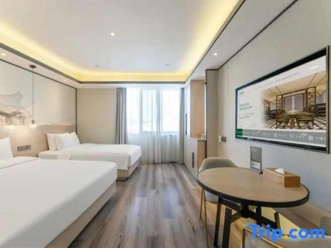 Triple Family Suite