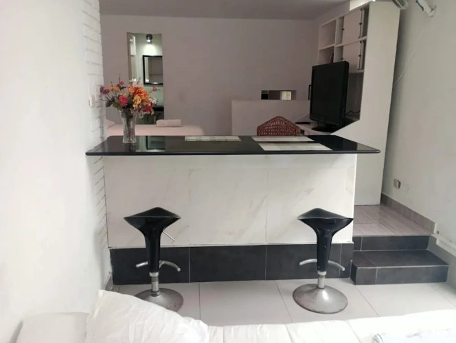 3 Bedrooms Executive Basement Suite with park view
