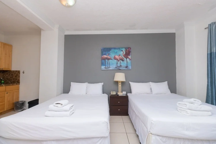 1 Bedroom Apartment