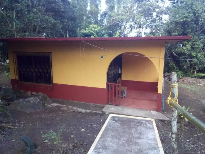 Nice House Natural
