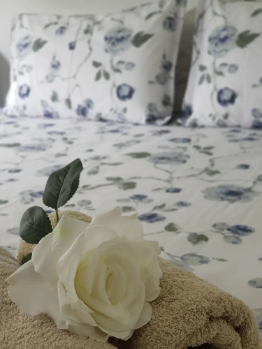 JC's Sweet Home B&B