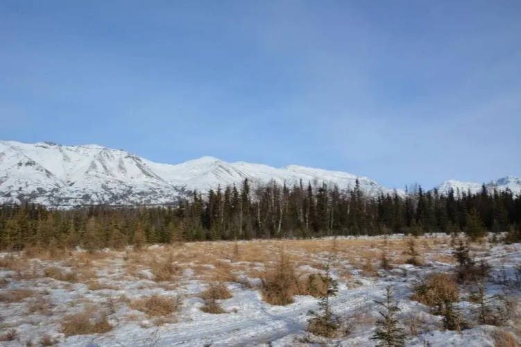 Moose Wallow Cabins