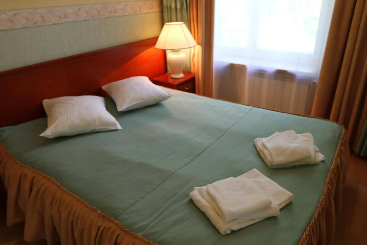 Wasa Hotel & Health Center
