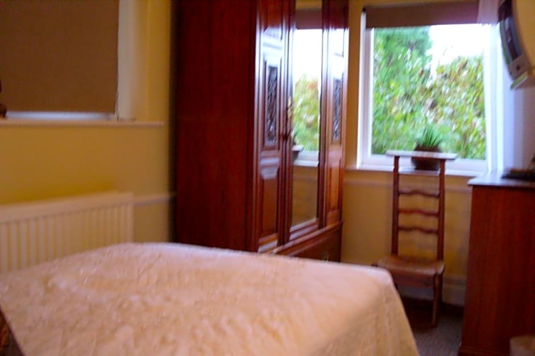 Standard Double room with garden view