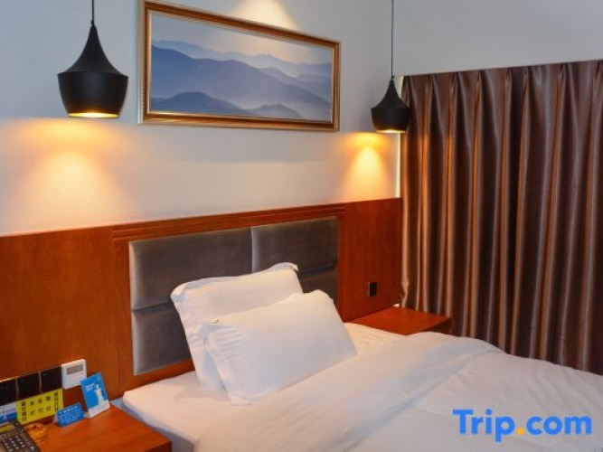 Single Suite