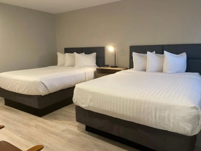 Double Suite