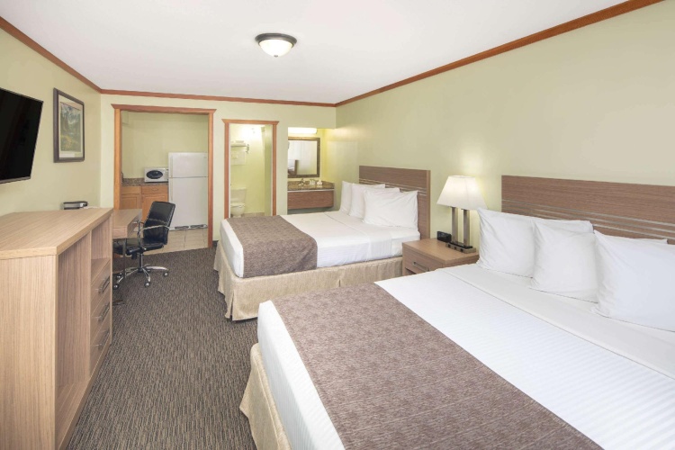 Quadruple Basement Suite