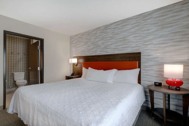 1 Bedroom Suite