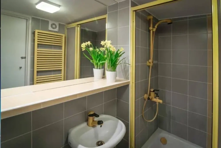 Economy Apartment