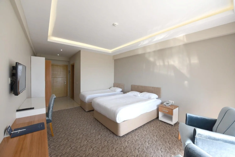 Deluxe Double room with garden view