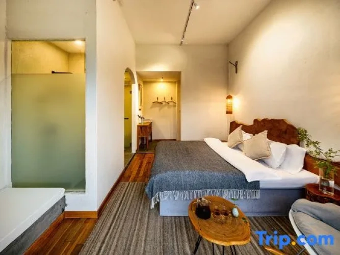 Standard Double room with lake view