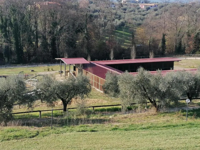 Le Vecchie Scuderie