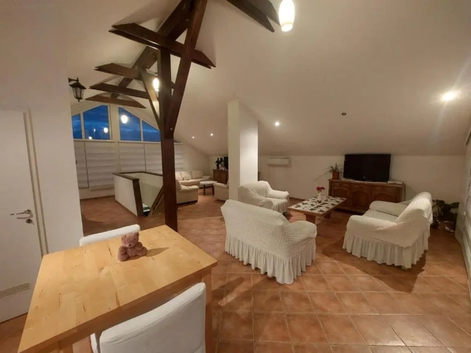 Duplex Apartment