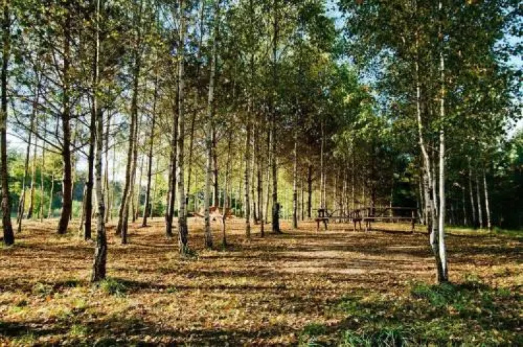 Pensjonat Pila Mlyn
