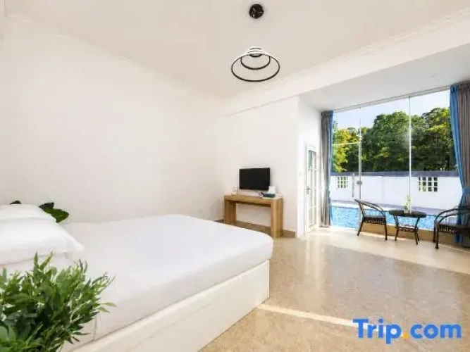 Standard Double room with pool view