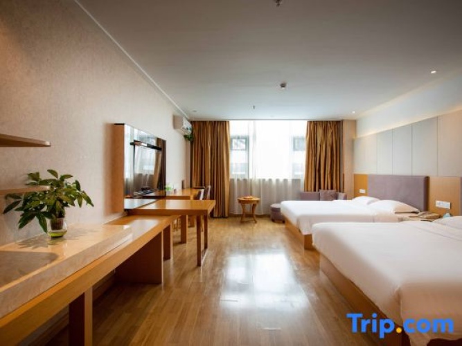 Deluxe Twin room with street view