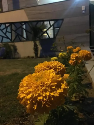Room near Lums