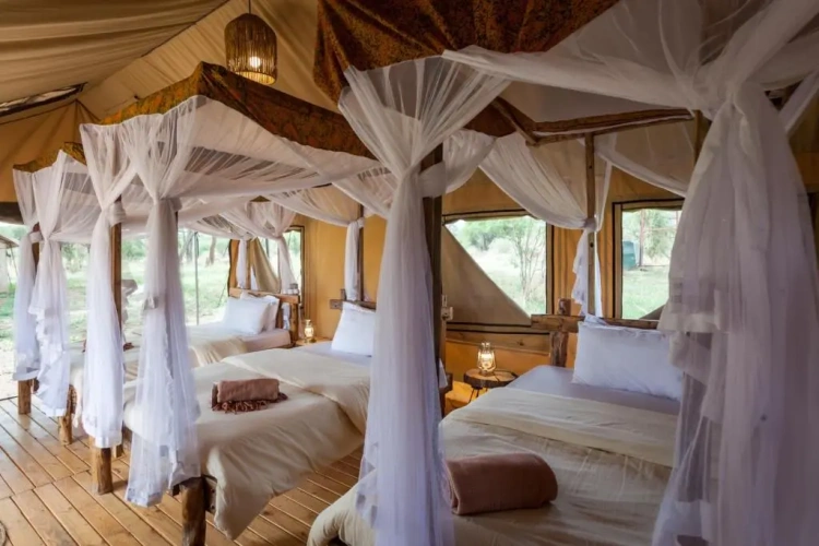 Standard Triple room