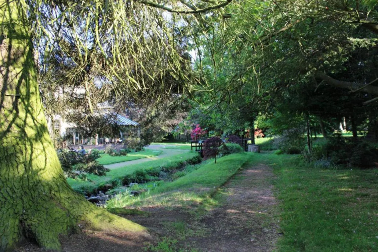The Lodge
