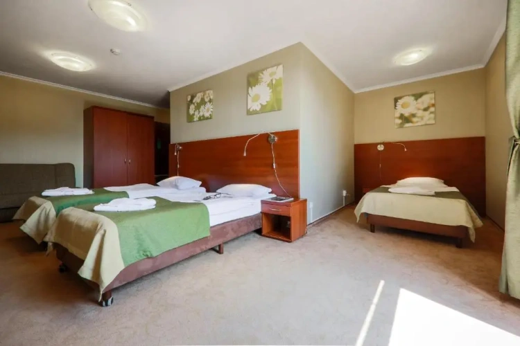 Standard Double room with balcony and with view