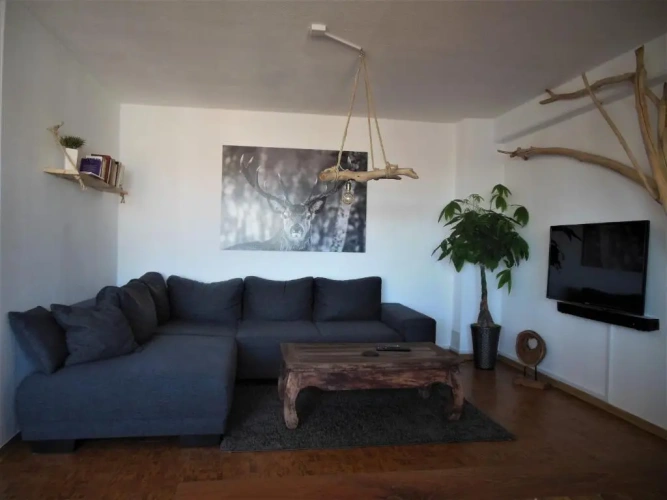 Double Apartment
