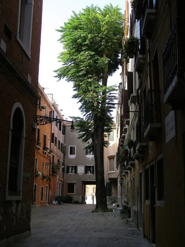 San Marco Style with Terrace