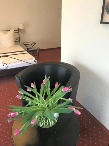 Comfort Double room with balcony and with view