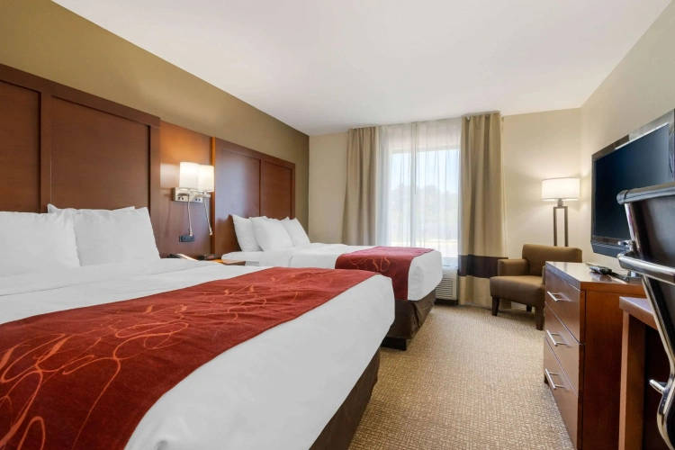 Standard Quadruple room